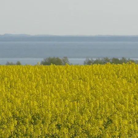 Zum Anleger I Hohen Wieschendorf